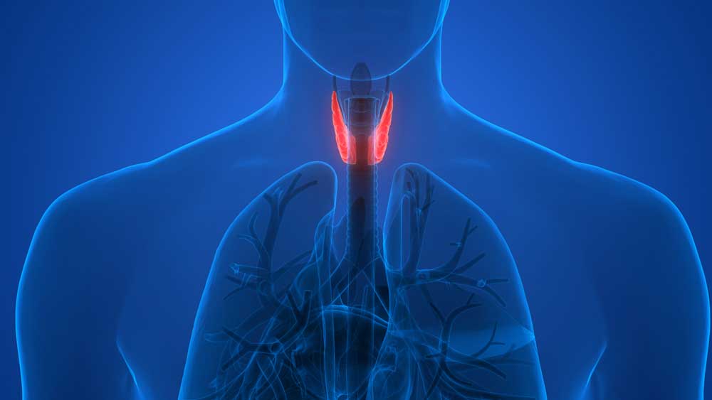 Find Thyroid Specialist in Pimpri Chinchwad