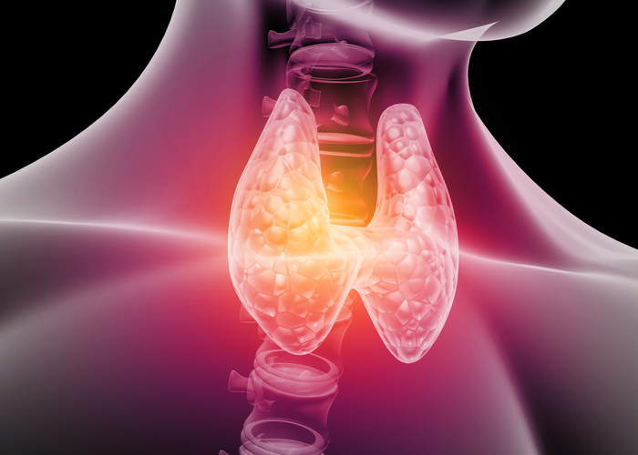 Common Thyroid Disorders And Their Symptoms